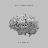brainlores vol.1 album cover