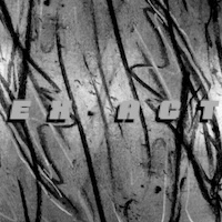 ex-act album cover