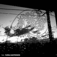 floral-electronics album cover